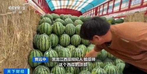 一中网课吃瓜视频,一场意外的“课堂狂欢”