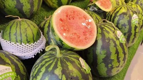 青岛男网红吃瓜,趣味横生引网友热议