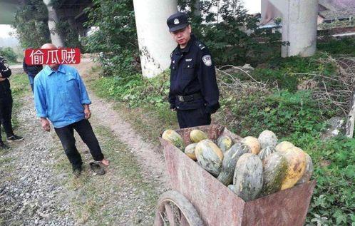 吃瓜网红翻车事件真相是真的吗,揭秘网络舆论背后的真相