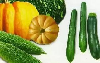 吃瓜网是做什么的平台啊,聚焦热点事件，畅享网络娱乐盛宴