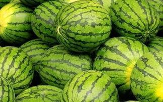 吃瓜网每日大赛往期内容,回顾往期精彩瞬间，揭秘热门选手幕后故事