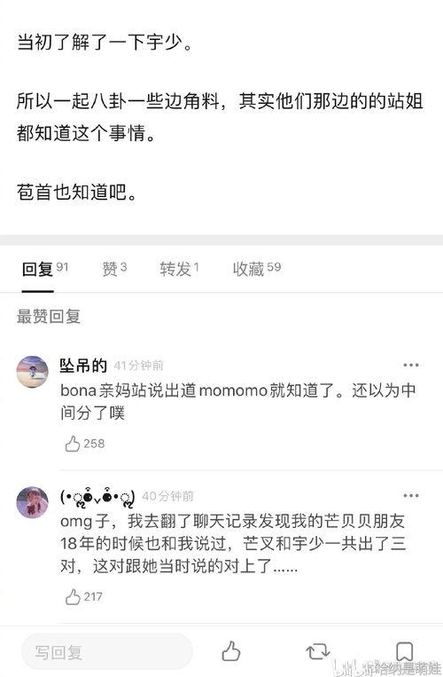 类似吃瓜网的网站大全,揭秘各大热门吃瓜网站大全