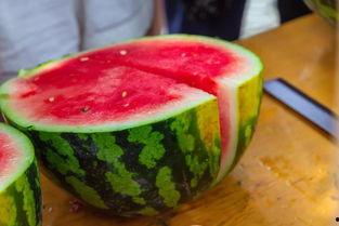 网红大学请暑期吃瓜,一场别开生面的“吃瓜”狂欢