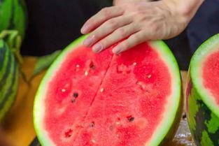 网红大学请暑期吃瓜,一场别开生面的“吃瓜”狂欢