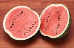 81万粉丝的网红吃瓜