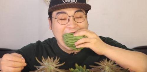 吃瓜小哥网红是谁,网红背后的故事与影响力