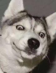 网红情侣吵架吃瓜图片高清,高清吃瓜图揭秘甜蜜背后的矛盾