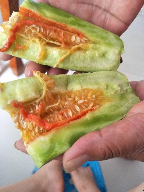 网红吃瓜猛料黄料是什么,黄料背后的真相与争议