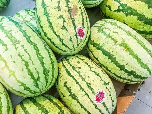 江阴网红吃瓜事件真相