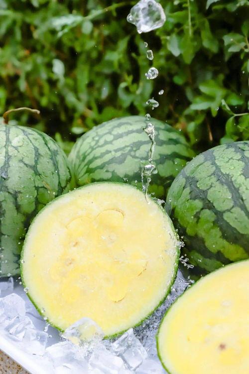 吃瓜网官网入口怎么没了,揭秘背后原因