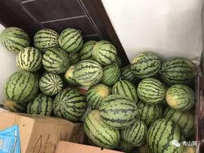 用校园网看了吃瓜群