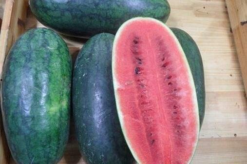 黑网料吃瓜网官分享