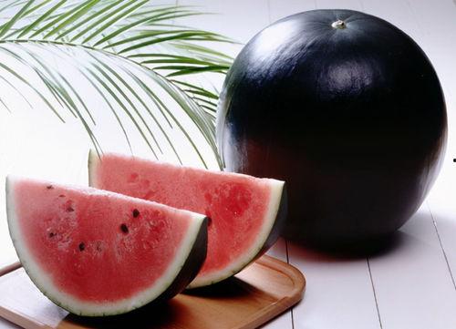 黑网料吃瓜网官分享