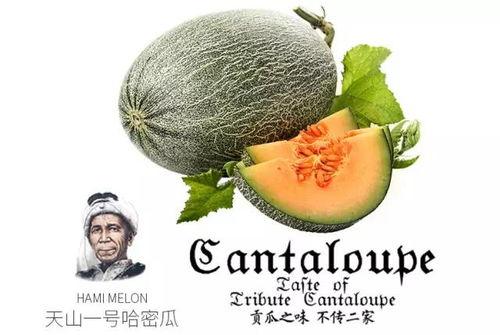 网红吃瓜微信号是真是假,真伪难辨，真相大白！