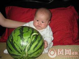 吃瓜社区网,网络舆论场上的“瓜田”盛景