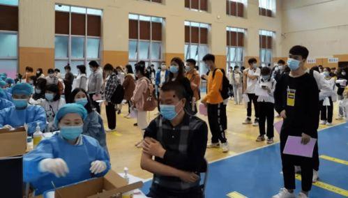 石家庄吃瓜网最新消息新闻,揭秘本地最新新闻动态