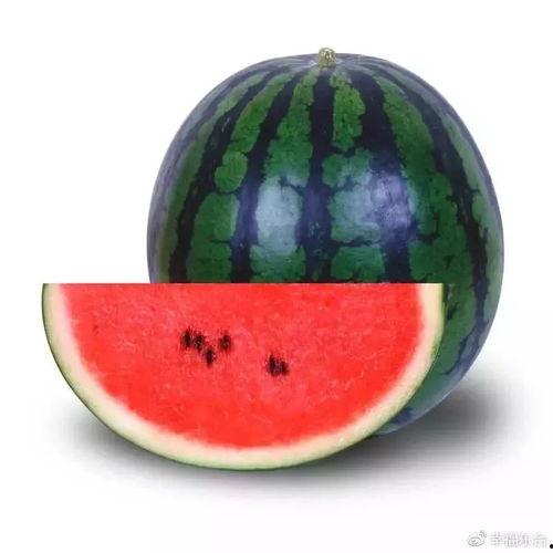 51最新吃瓜官网,揭秘娱乐圈最新热点，带你畅游八卦海洋