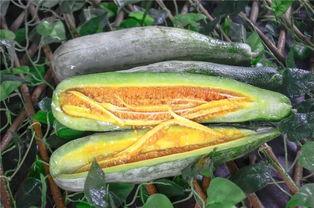 网红吃瓜关键词,盘点那些年我们追过的热点事件