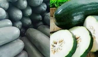 网红瓜太熟可以吃吗图片,揭秘能否直接食用之谜