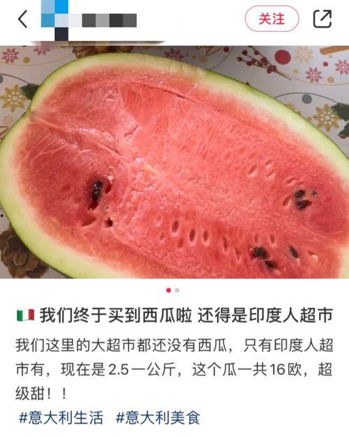 国外的吃瓜网,吃瓜网带你领略国际风云变幻