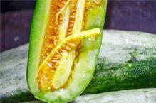 吃瓜的网红有哪几个,揭秘娱乐圈幕后故事