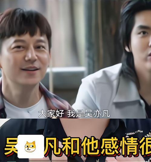 网红圈吃瓜爆料视频,吃瓜爆料视频背后的真相大起底